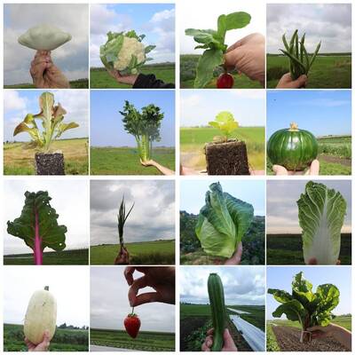 243457302-2053808834784990-4949896987100980635-n 243457302-2053808834784990-4949896987100980635-n