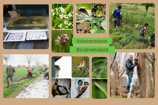 foto-biodiversiteit-website-hbadd foto-biodiversiteit-website-hbadd